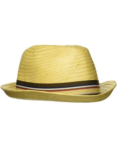 Brixton Mens Castor Straw Hat Fedora - Multicolor