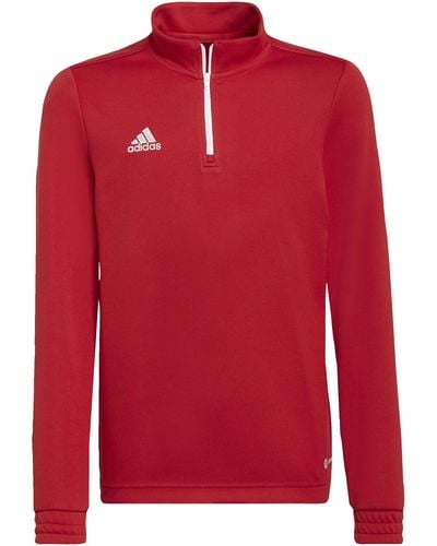 adidas Entrada 22 Training Top Sweatshirt - Rojo