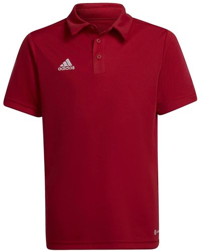 adidas ENT22 Polo Shirt - Rojo