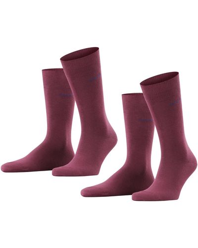Esprit Basic Uni 2-Pack Socken Baumwolle - Lila