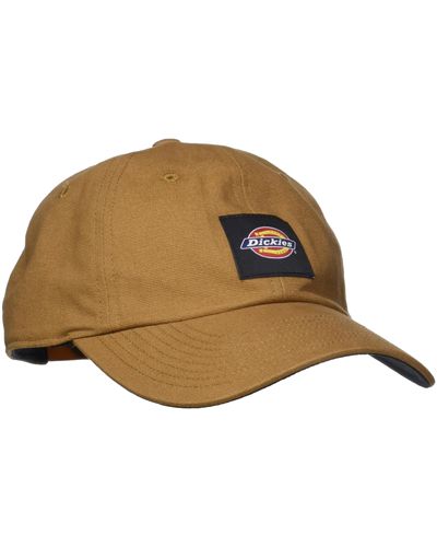 Dickies Washed Canvas Cap - Multicolor