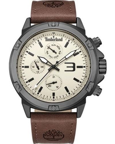 Timberland Men's Watch Tdwgf9002903 (ø 46 Mm) - Metallic