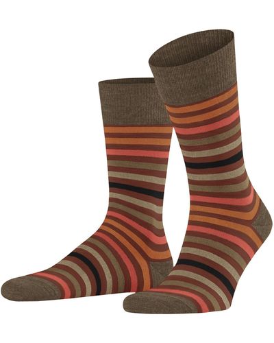 FALKE Tinted Stripe M So Wool Cotton Patterned 1 Pair Socks - Multicolour