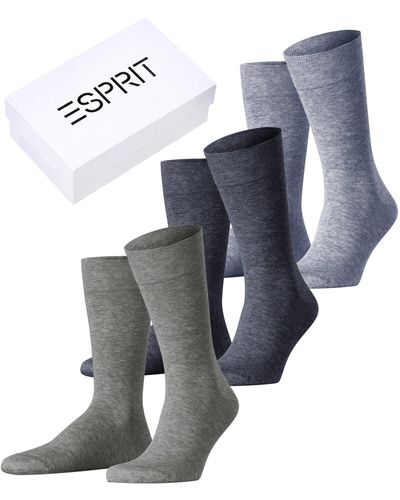 Esprit Solid Mix 3-Pack - Bleu