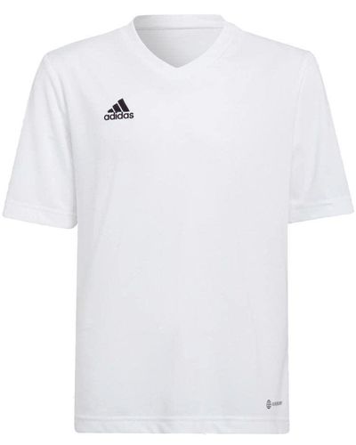 adidas Entrada 22 Jersey T-Shirt - Blanco