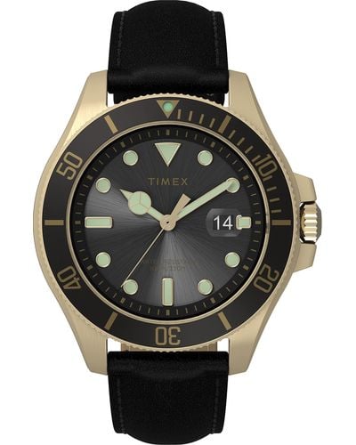 Timex Harborside Coast 43mm Watch Black Dial & Top Ring Gold-Tone Case with Black Leather Strap - Schwarz