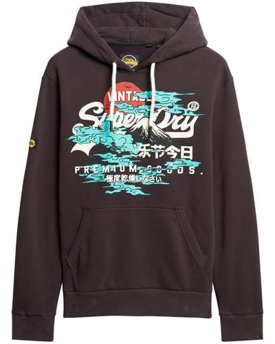 Superdry Japanischer Vl Graphic Hoodie Sweatshirt - Mehrfarbig