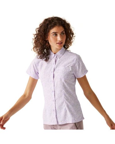 Regatta S Mindano Viii Short Sleeve Shirt - Purple