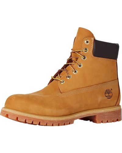 Timberland 6in Premium W/L Boots #10061 - Marrone