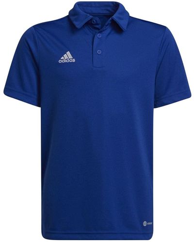 adidas Ent22 Polo Y Polo Shirt Voor - Blauw