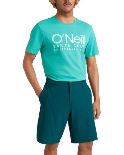 O'neill Sportswear Shorts Chino Blu Anatra Hybrid N2800012 - Verde