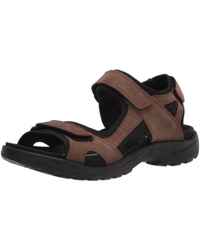 Ecco Sandals, slides and flip flops for Men | Online Sale up to 50% off |  Lyst