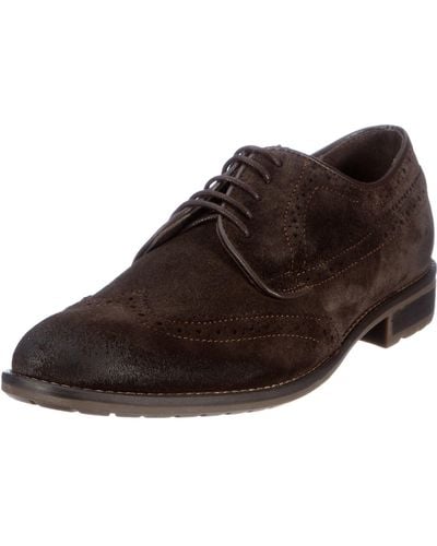 Tommy Hilfiger 's Daniel 5a Shoes Brown