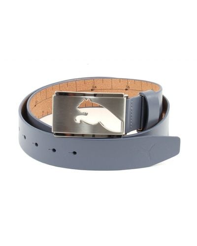 PUMA Highlight CTL Fitted Belt W115 Folkstone - Metallizzato