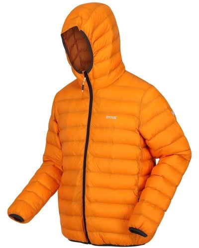 Regatta Marizion Baffle Jacke für mit Kapuze Wasserabweisend und leicht - Orange