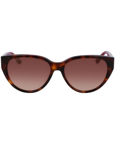 Lacoste L985s Sunglasses - Brown