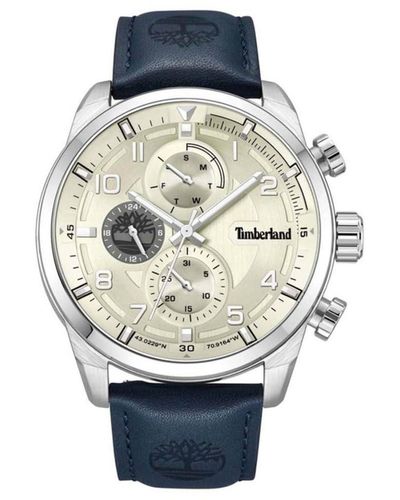 Timberland Adult Watches Mod. Tdwgf2201105 - Metallic