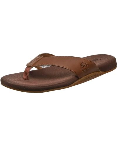 Timberland Seaton Bay Thong Sandalen - Braun