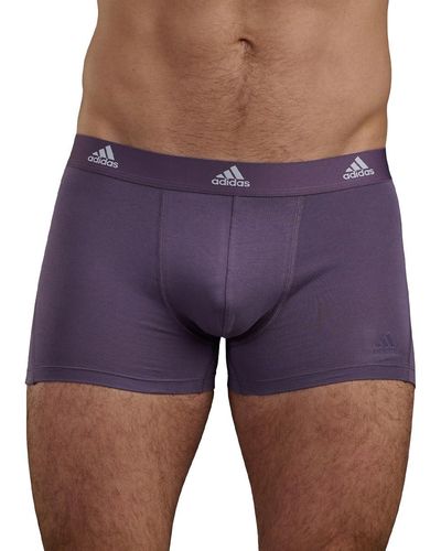 adidas Underwear - Purple