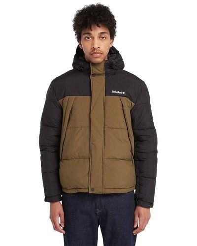 Timberland DWR Outdoor Archive Puffer Jacket Life Black/Dark Olive Giacca - Marrone
