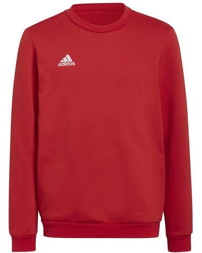 adidas Entrada 22 Sweatshirt Sudadera - Rojo