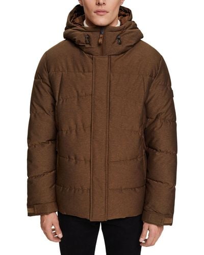 Esprit Steppjacke mit Kordelzug-Kapuze - Braun