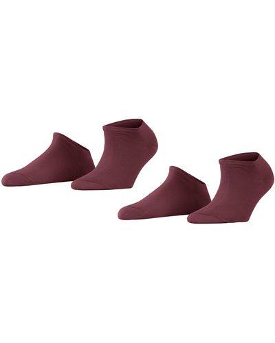 Esprit Uni 2-pack W Sn Cotton Low-cut Plain 2 Pairs Trainer Socks - Brown