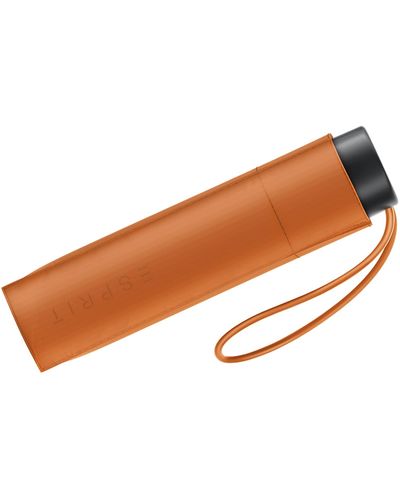 Esprit Mini ombrello tascabile Petito FJ 2022 - Nero