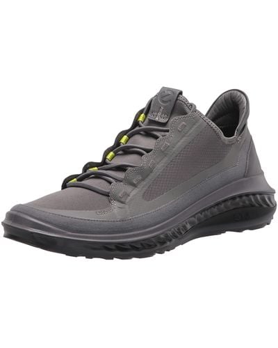 Ecco deals ennio purple