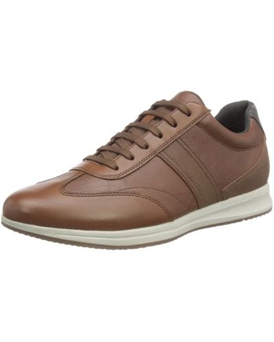 Geox Avery Trainers - Brown