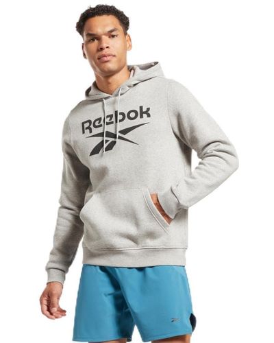 Reebok Big Logo Hoodie Sweatshirt - Grey