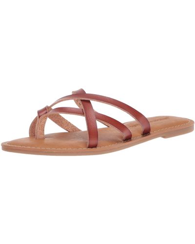 Amazon Essentials Vrouwen Strappy Slide Flat Sandaal,bruin,13 Uk - Zwart