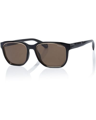 Superdry Sds 5003 S Sunglasses 104 Black/gold/solid Brown