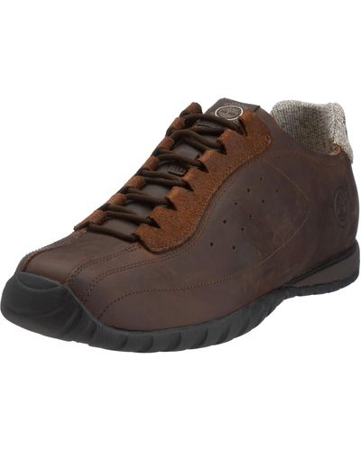Timberland Montville Low Lace - Marron