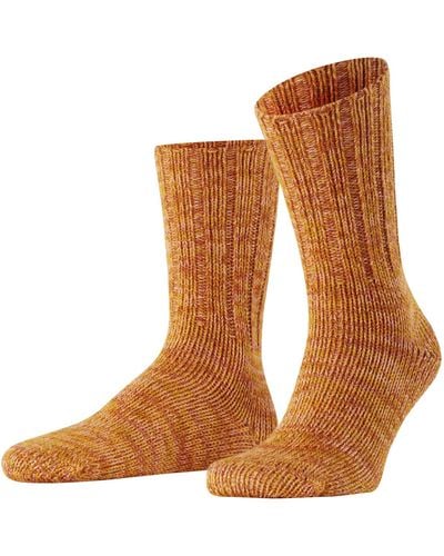 FALKE Socken Brooklyn Nachhaltige biologische Baumwolle einfarbig 1 Paar - Braun