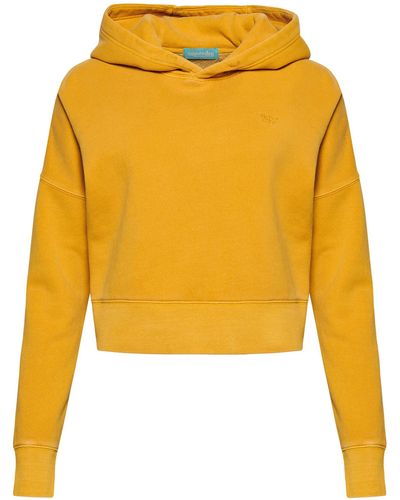 Superdry Sweatshirt - Gelb