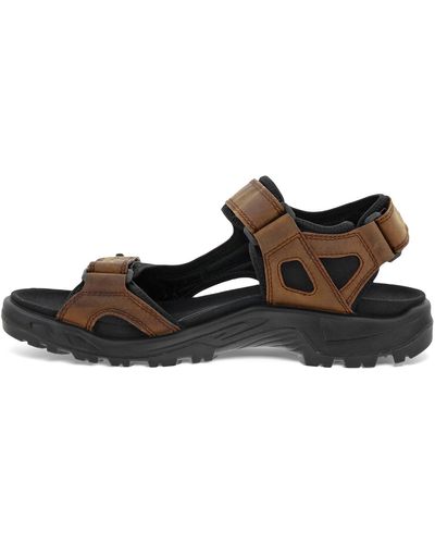 Ecco Sandals, slides and flip flops for Men | Online Sale up to 53% off |  Lyst