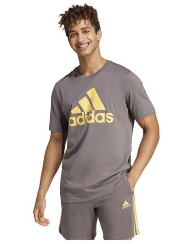 adidas Essentials Single Jersey Big Logo Tee T-Shirt - Grau