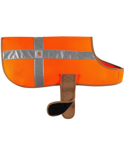 Carhartt Dog Safety Vest - Orange
