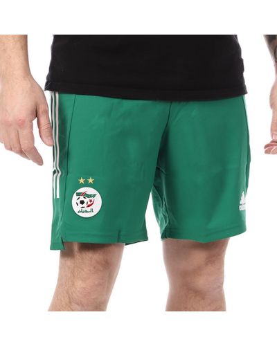 adidas Algérie Short Vert 2022-2023 Vert L