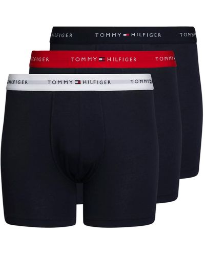 Tommy Hilfiger 3p Boxershort Wb Des Sky/wit/primair Rood M - Blauw