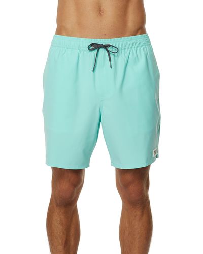 O'neill Sportswear S Solid Volley Boardshorts - Blue