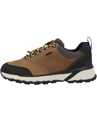 Geox d dandelion clearance b
