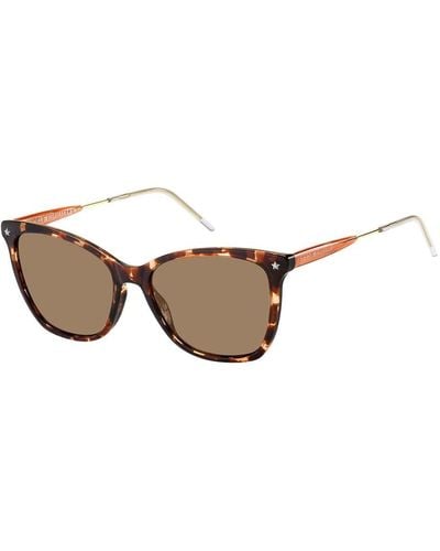 Tommy Hilfiger Th1647/s Cat-eye Sunglasses - Brown