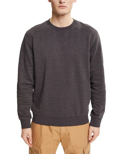 Esprit Recycelt: Sweatshirt (1-tlg) - Grau