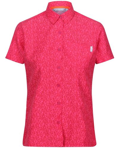 Regatta S Mindano Viii Short Sleeve Shirt - Pink