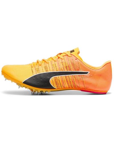 PUMA Teamwear Evospeed Future 6 Track Shoes Eu 45 - Orange