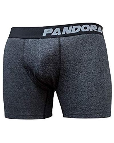 PANDORA Shield Boxer Briefs Anti-radiation Protection Underwear - Grey