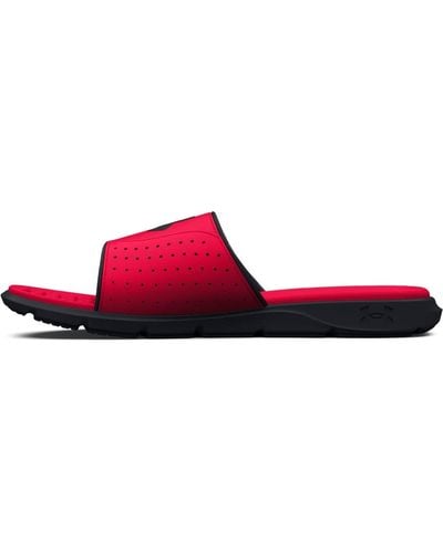 Under Armour Ignite 7 Slide, - Red