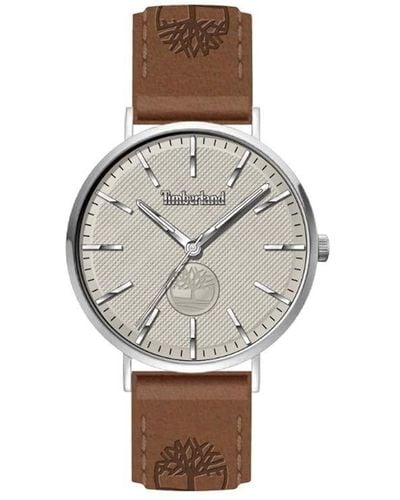 Timberland Analogue Quartz Watch With Leather Strap Tdwga2103701 - Metallic